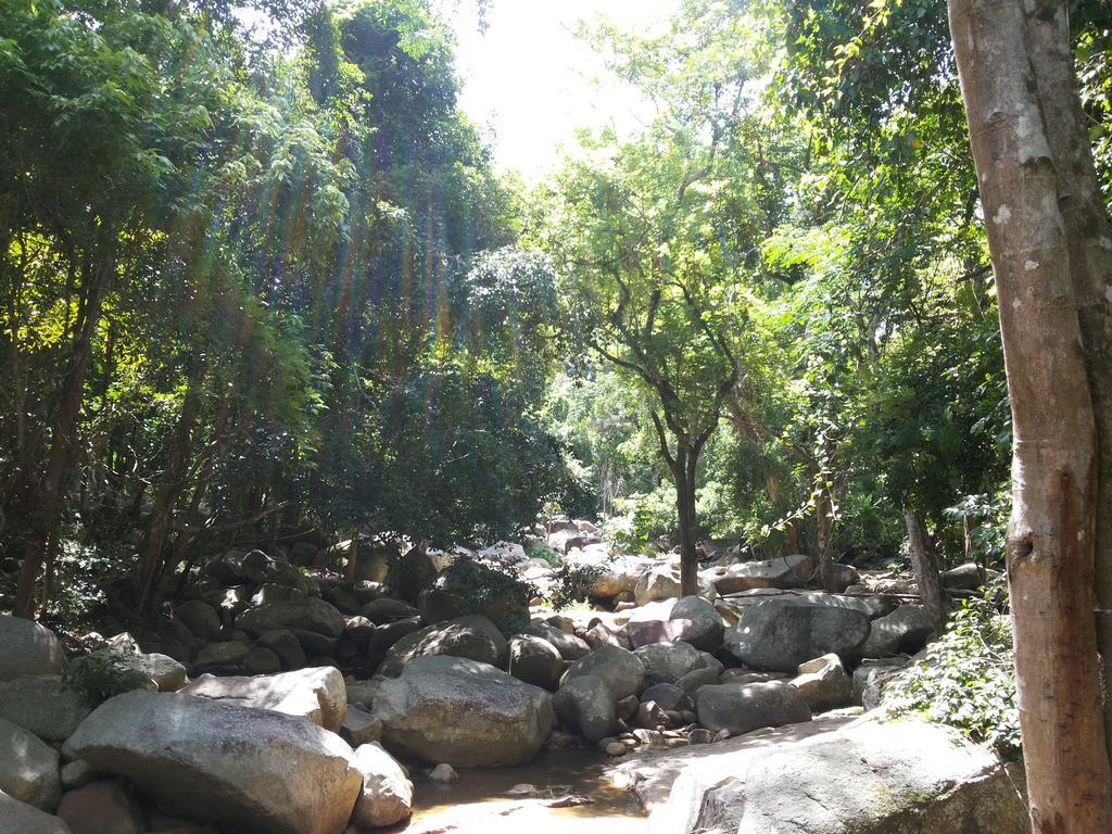 Astrococo Beach Resort By Coconut Beach Lamai Beach  Bagian luar foto